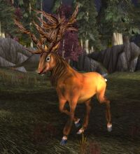 Image of Whitetail Stag