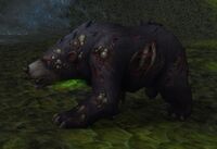 Image of Tainted Black Bear