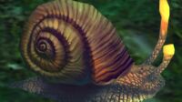 Image of Brightwater Snail