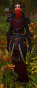 Image of Defias Mage