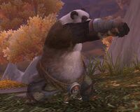 Image of Echo of a Pandaren Monk