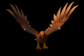 Hawk (Level 1)