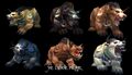 Tauren bear forms, including the original (seen at the bottom middle) that was used prior to patch 3.2.