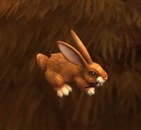 Image of Bramble Hare