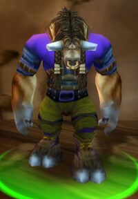 Image of Rumstag Proudstrider