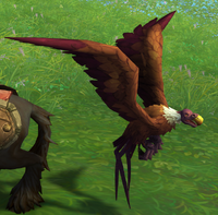 Image of Tamed Vulture