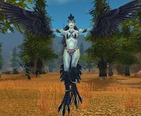Image of Witchwing Harpy