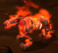 Image of Adolescent Flame Hound