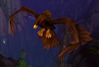 Image of Goldwing Hawk