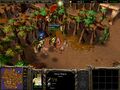 Warcraft III creep Harpy Rogue.jpg