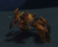 Image of Coralback Scuttler