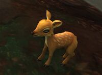 Image of Mountain Fawn