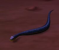 Image of Vine Snake