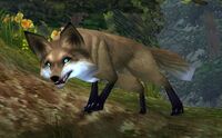 Image of Rabid Fox
