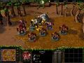 Warcraft III creep Quillboar.jpg