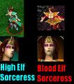 Comparison between a high elf sorceress and blood elf sorceress.