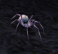 Image of Moonweb Spider
