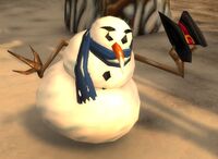 Image of Strange Snowman