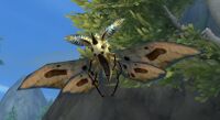 Image of Bark Moth