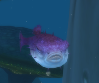 Image of Spinefish