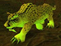 Image of Swamp Jaguar