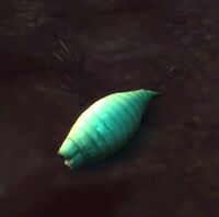 Image of Corpse Maggot