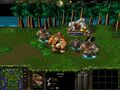 Warcraft III creep Furbolg Shaman.jpg