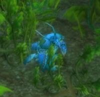 Image of Stonebull Crayfish