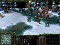 Warcraft III creep Ice Troll Warlord.jpg