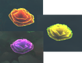 The flowers that reset the buff's duration
