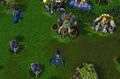 The village in Warcraft III.