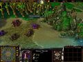 Warcraft III creep Makrura Tidecaller.jpg