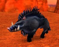 Image of Corrupted Mottled Boar