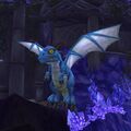 Blue dragon whelp in Legion.
