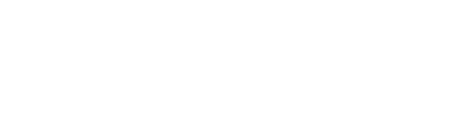 Virtual Ticket 2019 logo