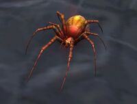 Image of Blood Spider