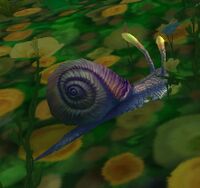 Image of Dreamdew Snail