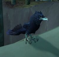 Image of Watchful Raven