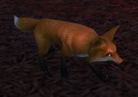 Image of Blackwald Fox
