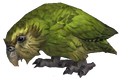 Kakapo a flightless type of parrot.