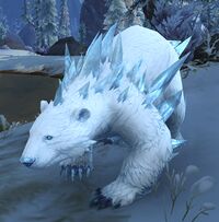 Image of Frostsnout Bear