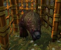 Image of Captive Plaguebear