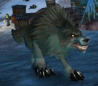 Image of Frost Wolf Bloodhound