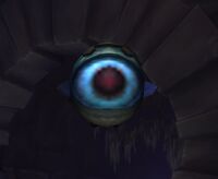 Image of Unblinking Eye