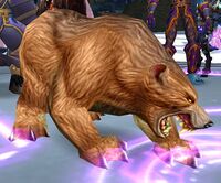 Image of Arena Battle-Bear