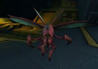 Image of Silithid Hunter-Killer