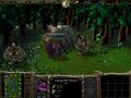 Warcraft III creep Furbolg Elder Shaman.jpg