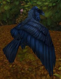 Image of Raven
