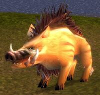 Image of Mangy Mountain Boar
