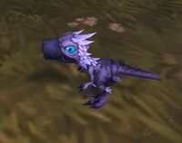 Image of Snowfeather Hatchling